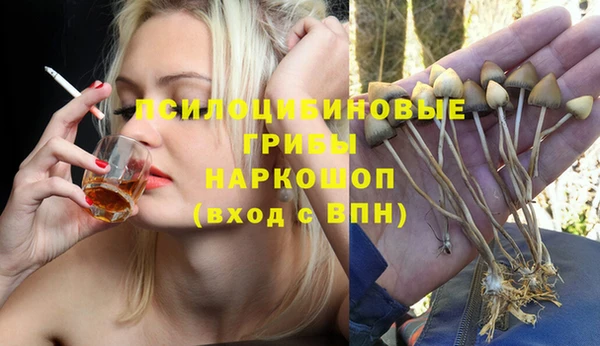 дмт Дмитров