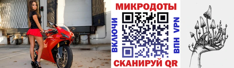 Псилоцибиновые грибы Psilocybine cubensis  Купить  Красноярск 