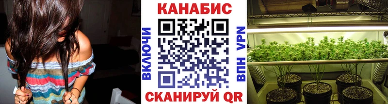 Каннабис планчик  Купить закладки  Красноярск 
